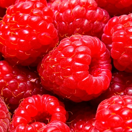 AMBRAX - RICORDA OMBRE NOMADE