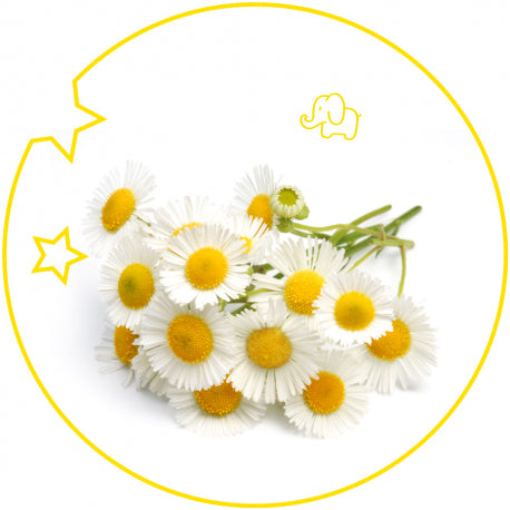 KIDS - RICORDA BULGARI PETITS  ET  MAMANS