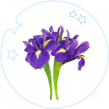 KIDS - RICORDA BULGARI PETITS  ET  MAMANS