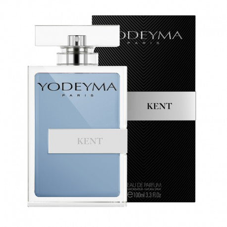 KENT- RICORDA KING DI DOLCE E GABBANA