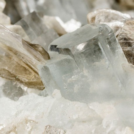 TAYDA - RICORDA TILIA DI MARC ANTOINE BARCOIS